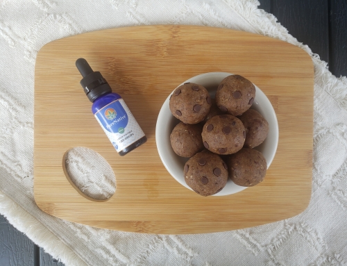 CBD Recipe: Pumpkin Pecan CBD Energy Bites